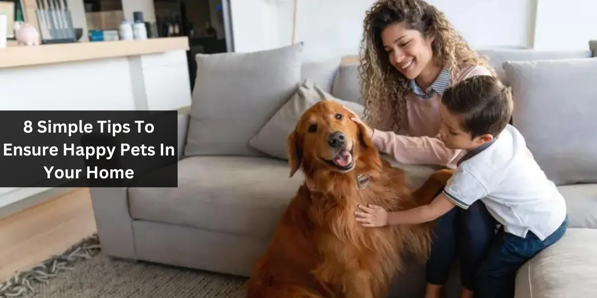 8 Simple Tips To Ensure Happy Pets In Your Home