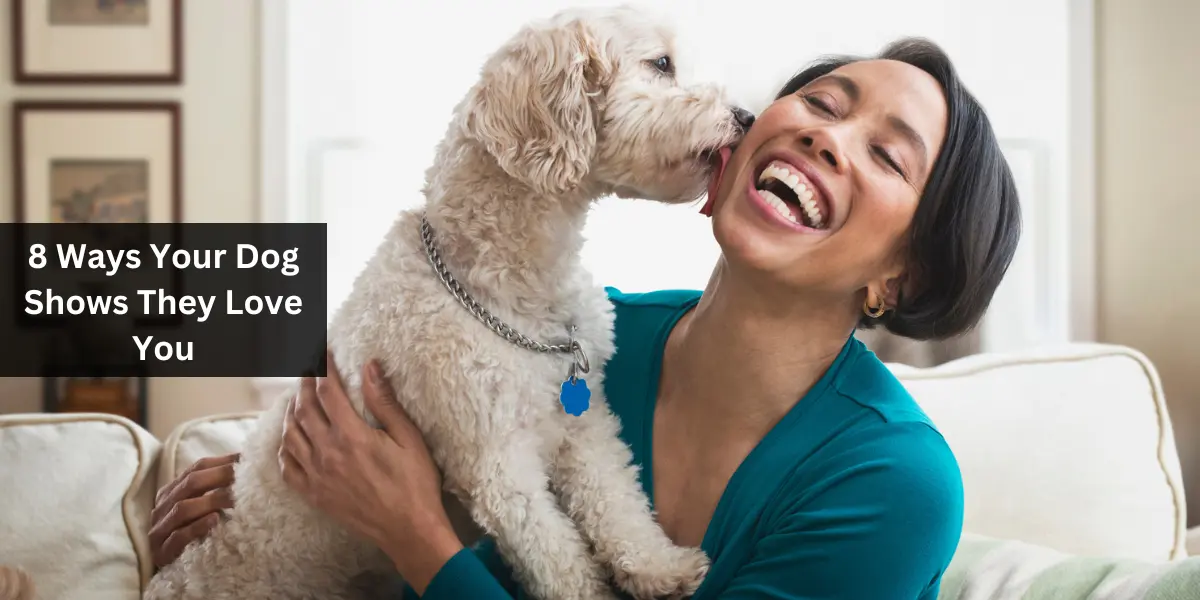 8 Ways Your Dog Shows They Love You